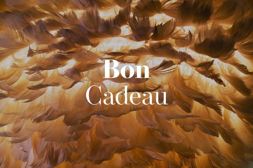 Gros plan sur une carte cadeau utilisée aux Hôtels Oceania